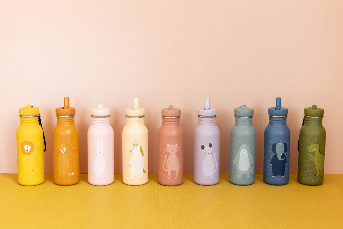 Botella infantil 500ml - Mr. Fox