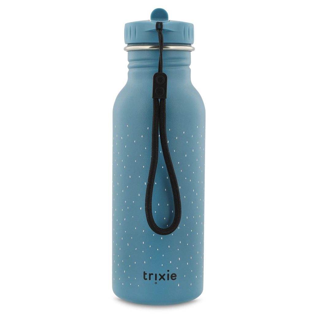 Botella infantil 500ml - Mr. Triceratops
