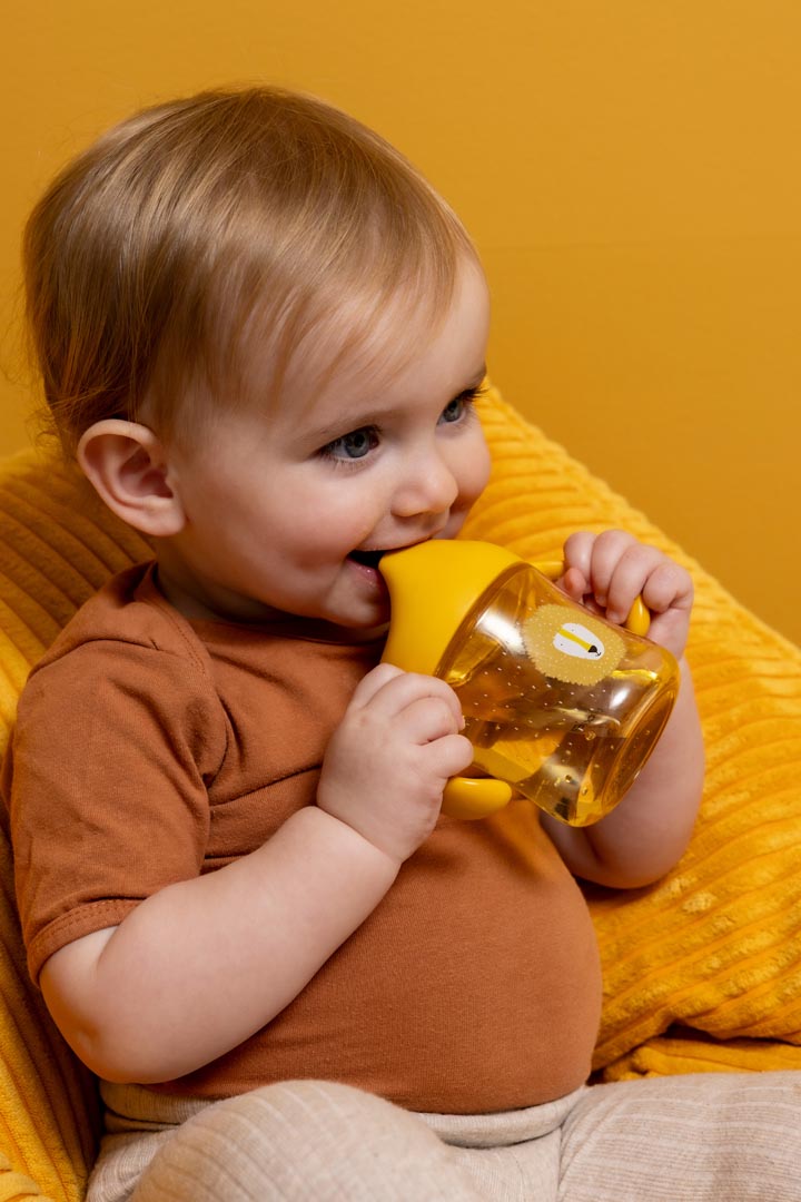 Taza de aprendizaje con asas - Mr. Lion