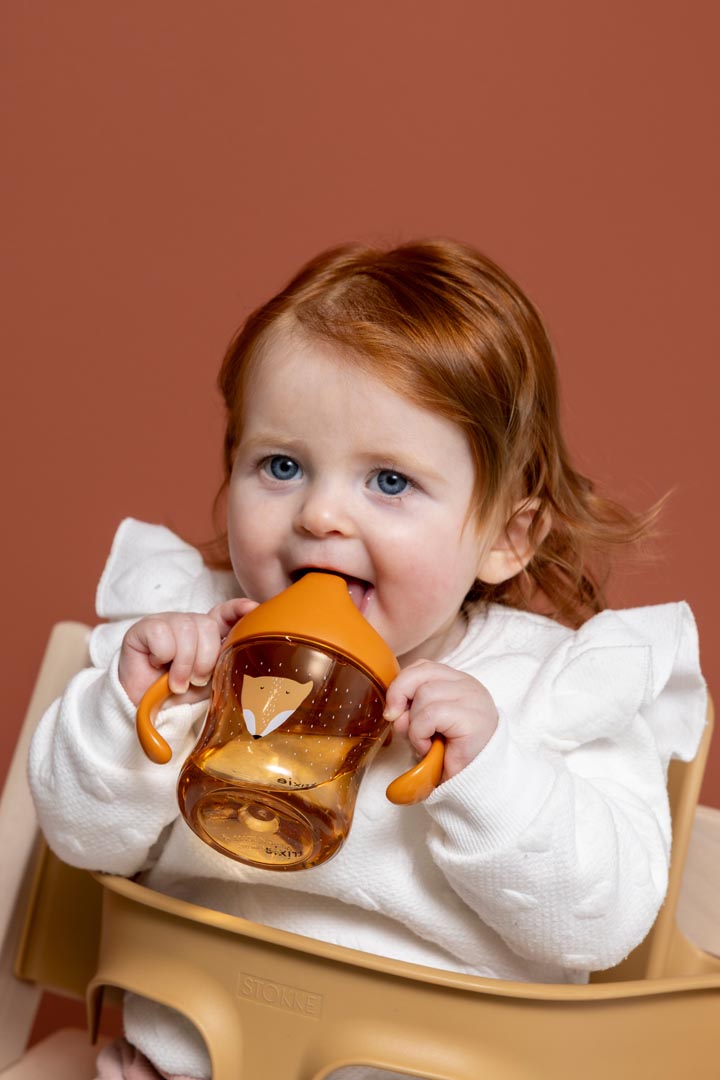 Taza de aprendizaje con asas - Mr. Fox