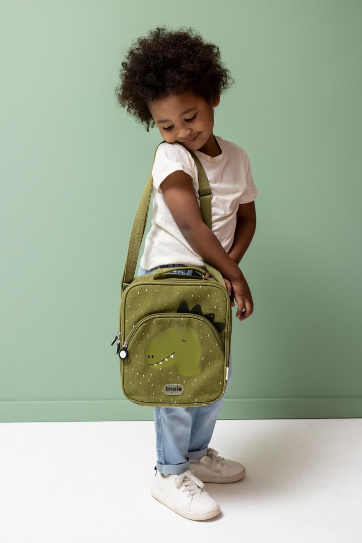 Bolsa térmica  - Mr. Dino