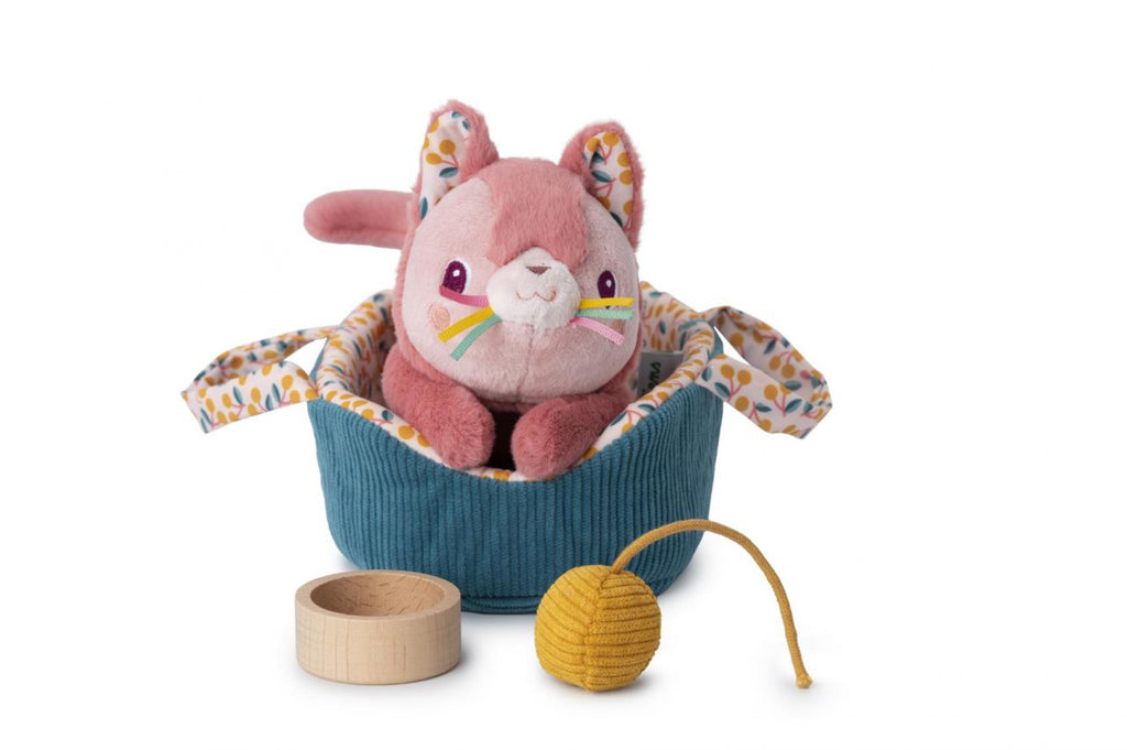 JEANNE EL GATO Y SU CESTA