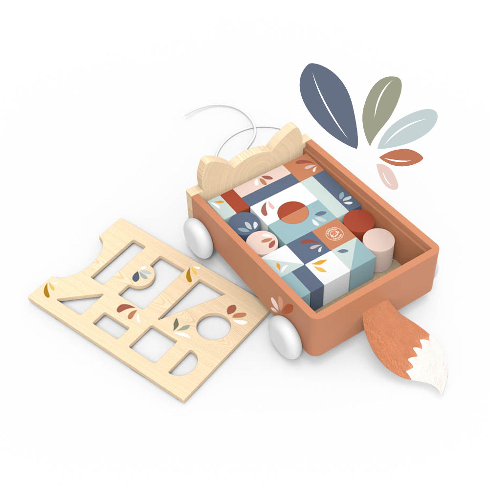 Carro Fox Blocks