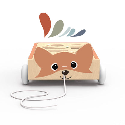 Carro Fox Blocks