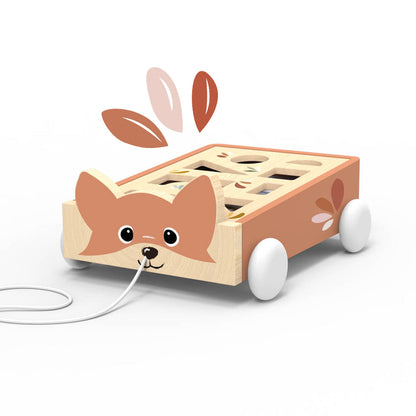 Carro Fox Blocks