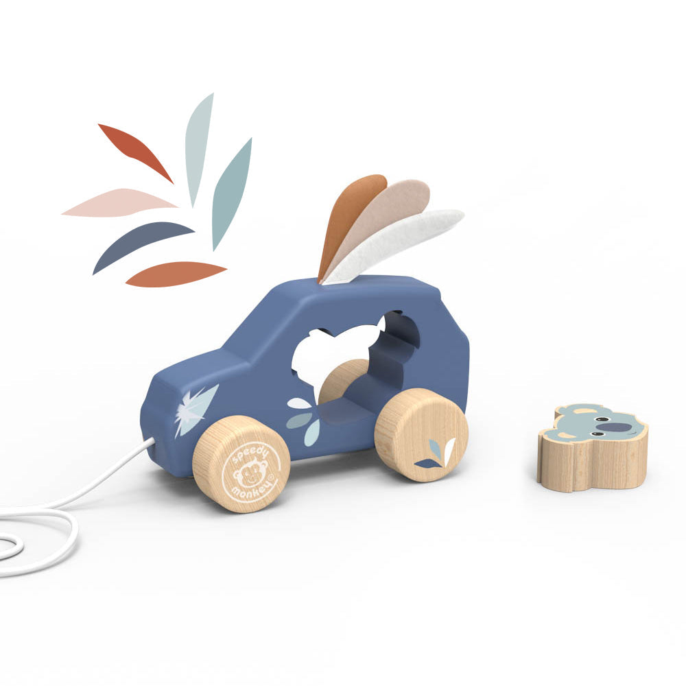 Coche de atracción
